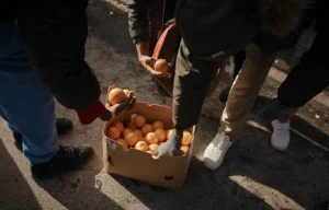 florida-citrus-expected-to-produce-smallest-crop-in-over-a-century-–-washington-examiner