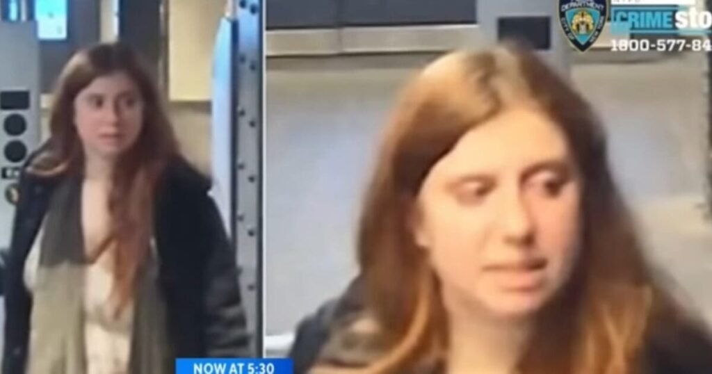 new-york-woman-sobs-in-court-as-judge-tacks-on-extra-jail-time-for-‘inability-to-take-responsibility’-in-fatal-shove-of-elderly-woman-–-will-serve-only-8.5-years-|-the-gateway-pundit-|-by-david-greyson