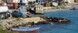 fact-check:-does-this-video-show-cop-shooting-illegal-migrant?