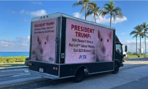 peta-first-at-mar-a-lago-to-urge-doge-to-stop-nih-animal-tests-–-washington-examiner