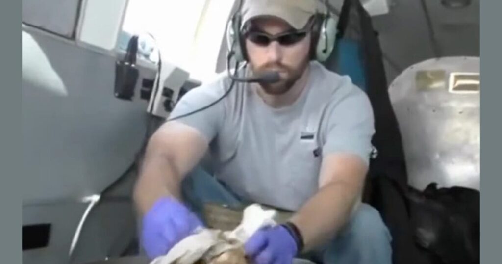 tennessee-will-airdrop-vaccines-from-helicopters-and-small-planes-to-combat-spread-of-rabies-|-the-gateway-pundit-|-by-anthony-scott