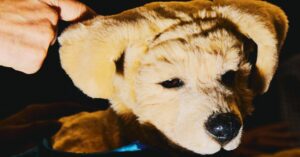 the-10-coolest-things-we’ve-seen-so-far-at-ces-2025