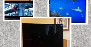 the-12-best-tvs-we’ve-tested-(and-helpful-buying-tips)