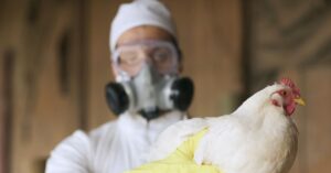 the-first-us-bird-flu-death-is-a-stark-warning