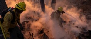 citizens-arrest-arson-suspect-possibly-connected-to-los-angeles-kennneth-fire:-report