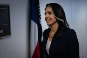 foreign-intelligence-rule-erupts-as-speed-bump-to-gabbard’s-confirmation-–-washington-examiner