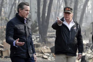 trump-versus-newsom-spat-ignites-at-senate-confirmation-hearing-–-washington-examiner