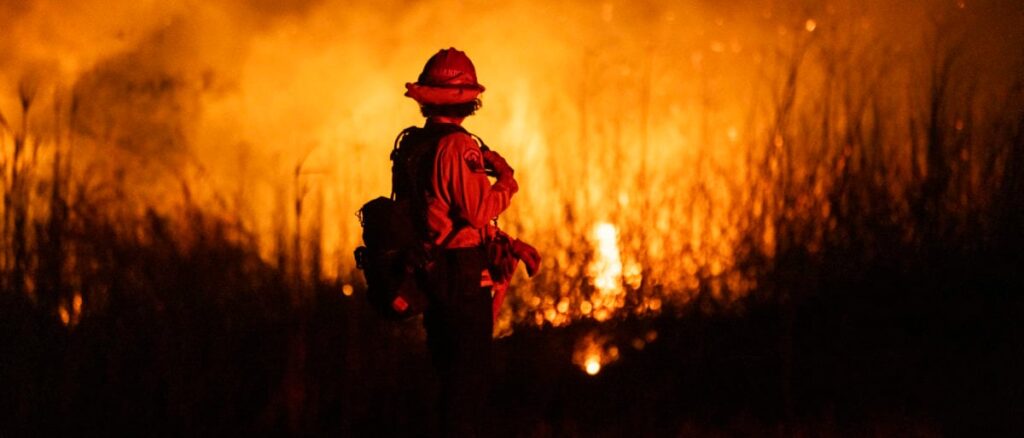 fact-check:-video-of-man-saving-a-rabbit-from-los-angeles-fire-taken-in-2017,-not-2025