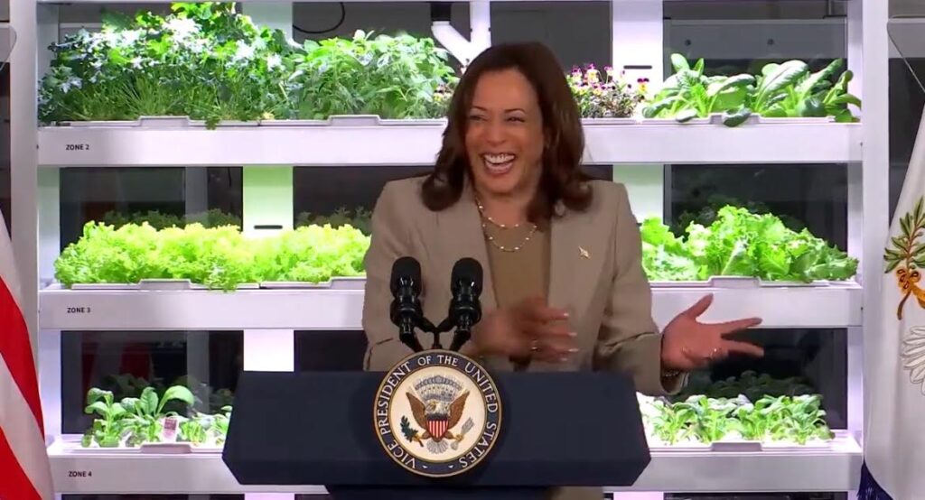 kamala-harris-targets-guns-in-hopes-of-bolstering-presidential-bona-fides-|-the-gateway-pundit-|-by-guest-contributor