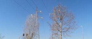 report:-man-electrocuted-while-doing-yard-work-at-texas-church