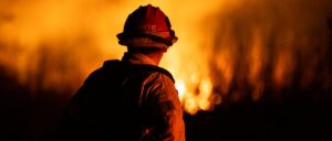 fact-check:-no,-this-video-does-not-show-firefighters-rescuing-dogs-from-los-angeles-fire