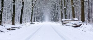 massachusetts-police-catch-alleged-criminals-through-their-snow-tracks