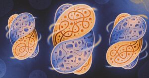 scientists-recreate-the-conditions-that-sparked-complex-life