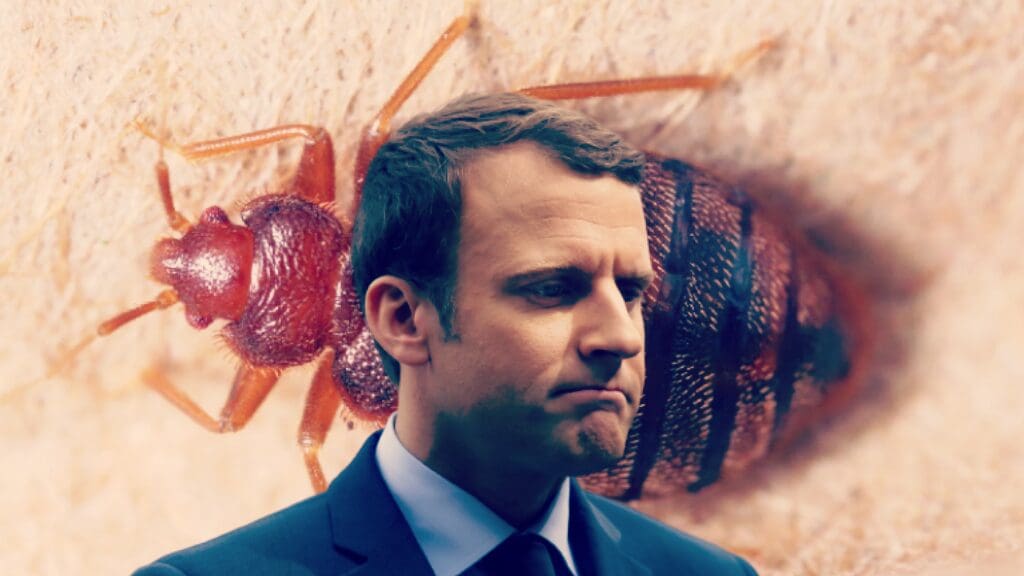 bloodsuckers:-paris-is-infested-with-bedbugs-–-authorities-seek-to-control-situation-ahead-of-next-year’s-summer-olympics-|-the-gateway-pundit-|-by-paul-serran