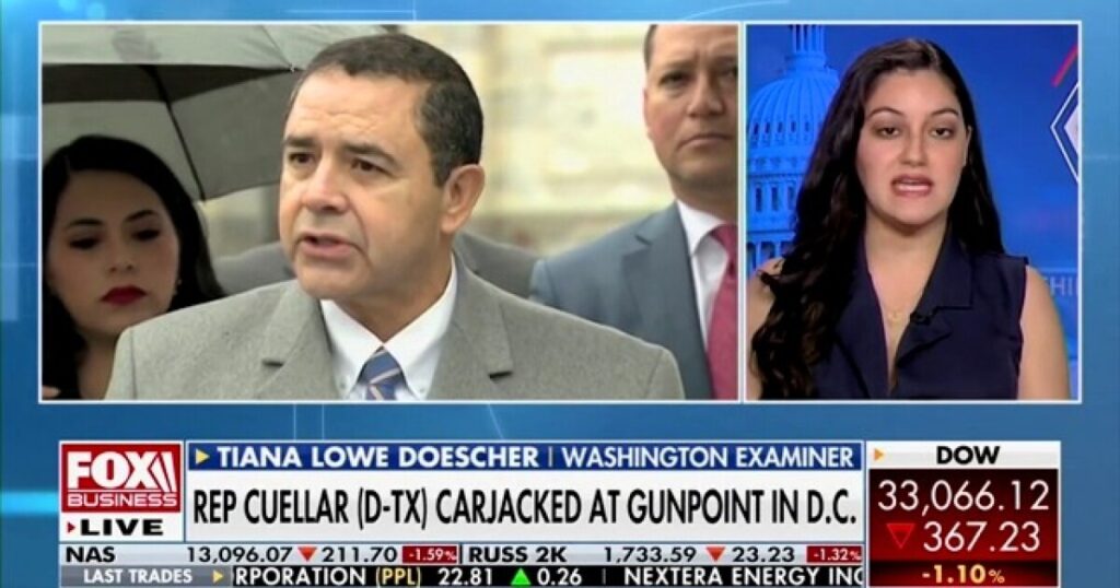 tiana-lowe-doescher-says-crime-in-dc-is-‘everywhere’-in-wake-of-congressman-carjacking