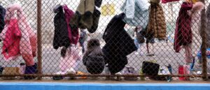 rooke:-it’s-time-to-start-arresting-teachers