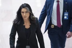 warren-claims-‘most’-of-senate-sees-gabbard-as-threat