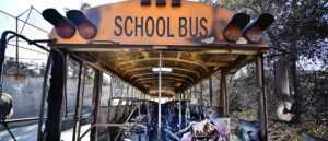 rooke:-nation’s-report-card-just-came-out-revealing-shocking-truth-parents-need-to-know