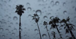 california’s-problem-now-isn’t-fire—it’s-rain