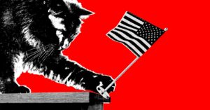 the-incompetence-of-doge-is-a-feature,-not-a-bug