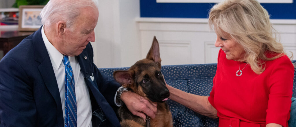 new-photos-emerge-of-biden’s-dog-apparently-‘biting’-white-house-staff-member:-report