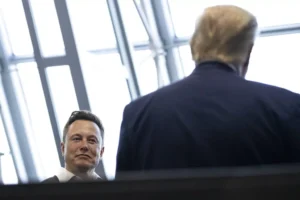 elon-musk-joins-trump-cabinet-for-white-house-meeting-–-washington-examiner