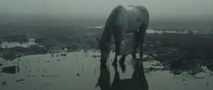 video-shows-new-york-police-assist-rescue-efforts-after-horse-falls-into-icy-waters