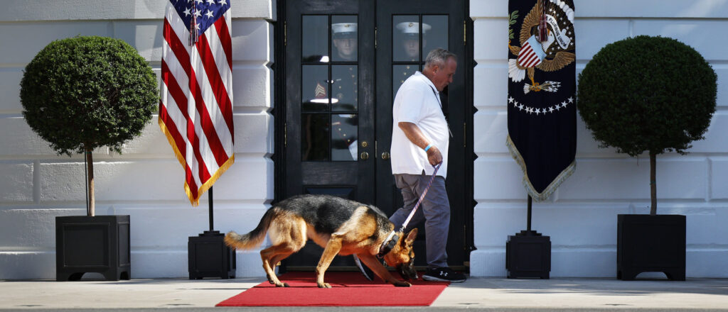 report:-biden’s-dog-booted-from-white-house-after-multiple-biting-incidents