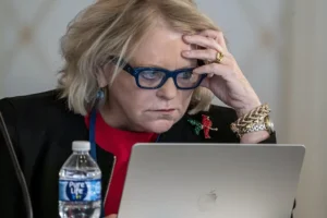 virginia-democrats-set-to-pick-new-leader-ahead-of-key-elections-–-washington-examiner