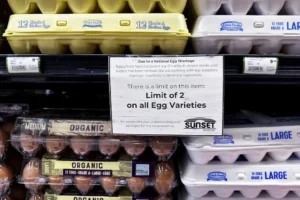 doj-preliminarily-investigating-high-egg-prices-–-washington-examiner