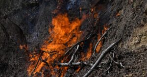 the-extreme-weather-conditions-that-drove-the-carolina-wildfires
