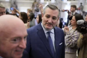 cruz:-visa-students-not-protected-by-first-amendment-–-washington-examiner