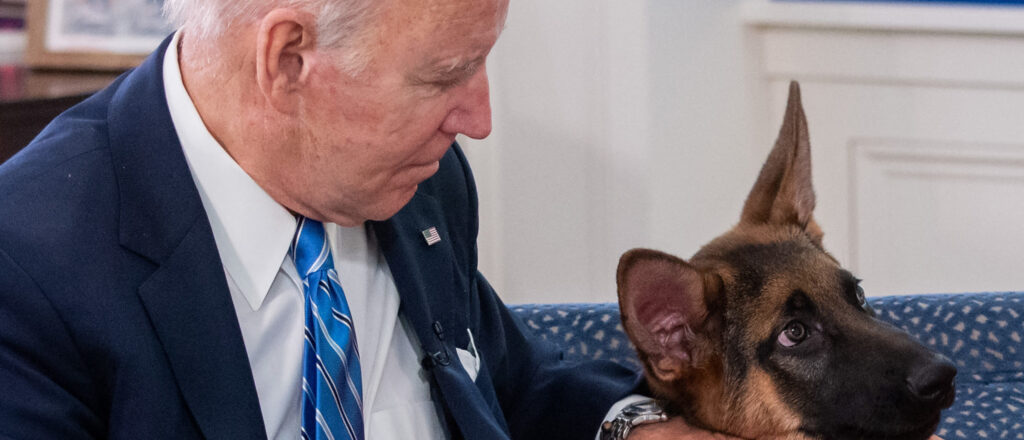 biden-too-beta?-dog-trainers-say-biting-indicates-lack-of-leadership