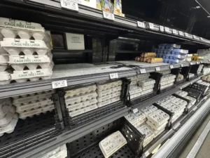 egg-prices-so-high-americans-are-smuggling-them-over-the-border-–-washington-examiner
