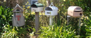 police-arrest-florida-man-after-finding-decapitated-cat-heads-on-mailbox