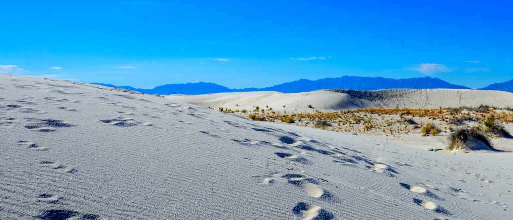 oldest-footprints-in-north-america-officially-dated,-and-big-archaeology-ain’t-gonna-like-it