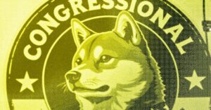 doge-is-doing-the-opposite-of-government-auditing