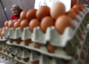 trump-administration-imports-hundreds-of-millions-of-eggs-as-prices-drop-–-washington-examiner
