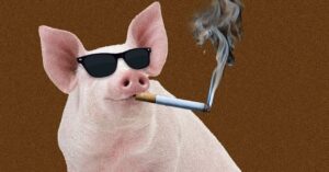 should-you-smoke-(food)-indoors?