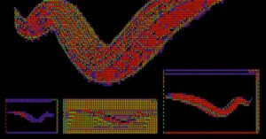 the-worm-that-no-computer-scientist-can-crack