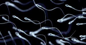 sperm-stem-cells-were-used-for-the-first-time-in-an-attempt-to-restore-fertility