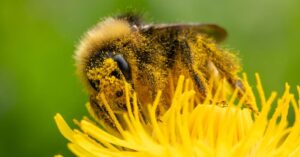 welcome-to-the-worst-allergy-season-ever