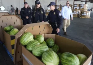 us-customs-races-to-implement-trump’s-trade-regime