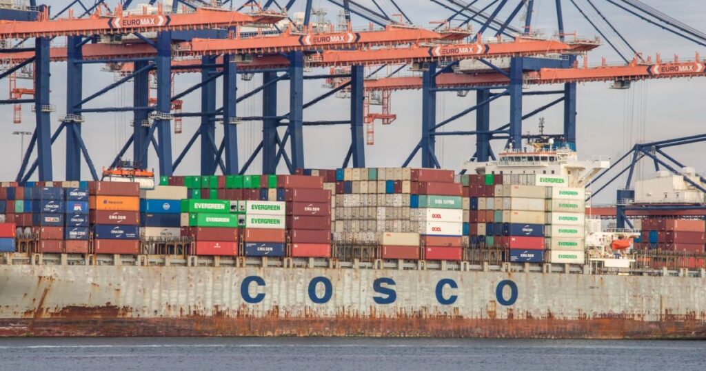shipping-containers-once-used-for-arizona-wall-up-for-auction