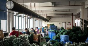 trump’s-trade-war-is-strengthening-china’s-soft-power