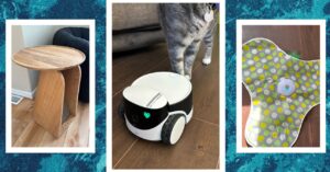 the-best-cat-toys-for-your-furry-friend