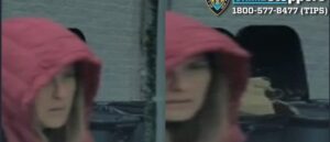 watch:-musk-hater-leaves-swastika-marked-brick-on-tesla-in-nyc-jewish-community