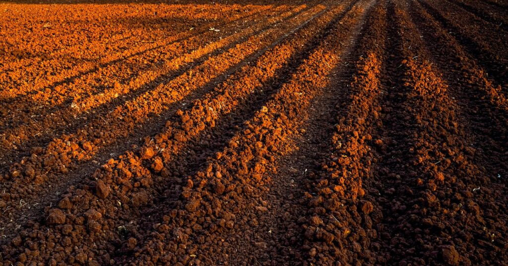 heat-waves-in-the-ground-are-getting-more-extreme—and-perilous