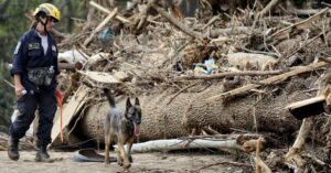 fema-isn’t-ready-for-disaster-season,-workers-say