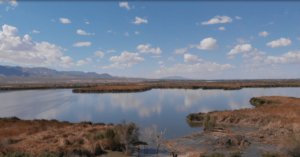 this-artificial-wetland-is-reusing-wastewater-to-revive-a-lost-ecosystem